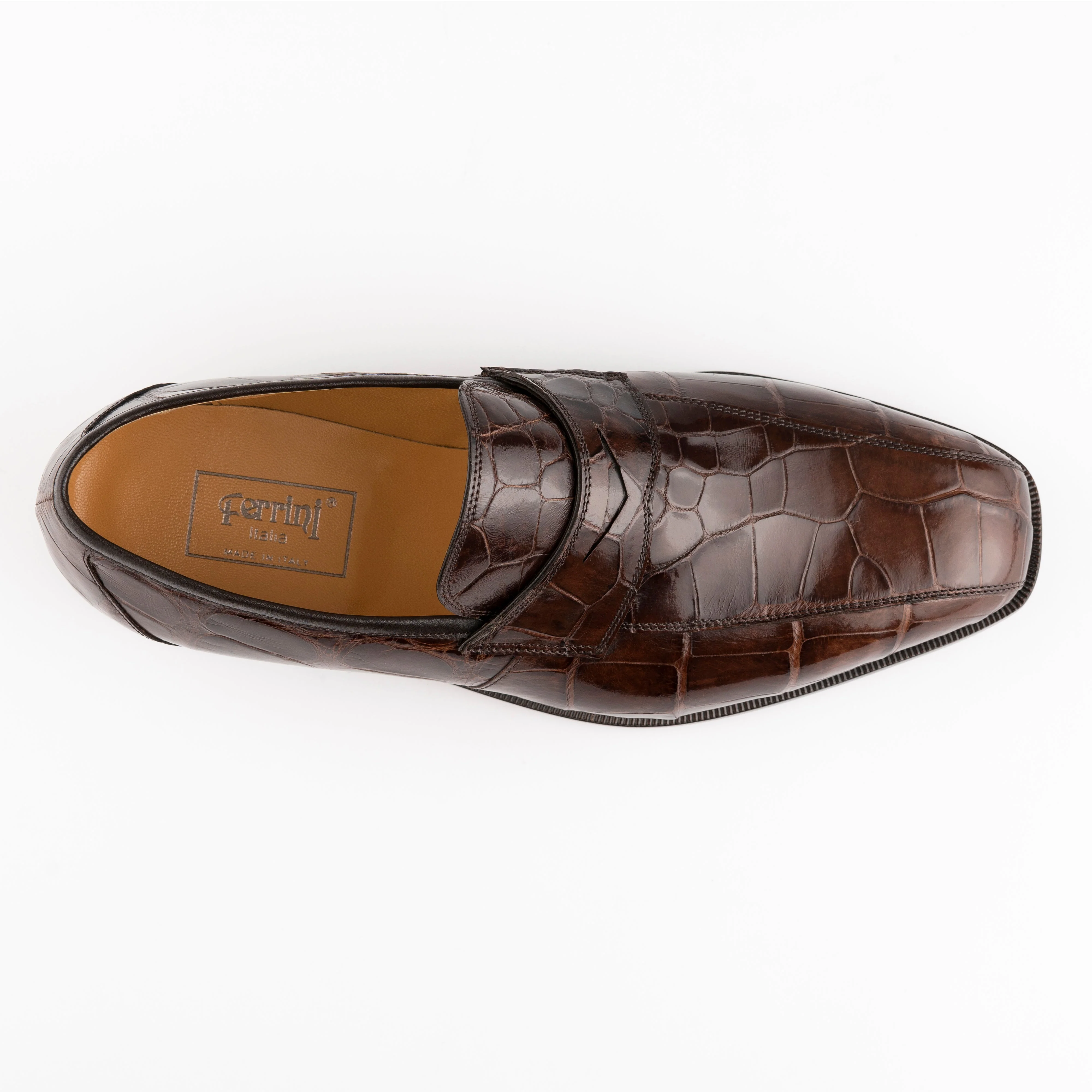 Ferrini Alligator 3724 - Image 2