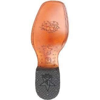 Botas de Piton Original Horma Ranchera LAB - Image 3