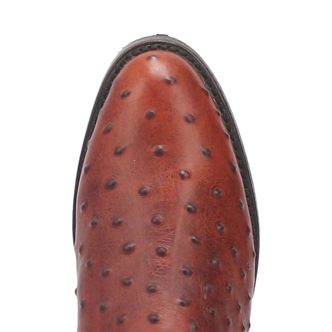 Dingo Brown Lizard Print Leather Boots - Image 5