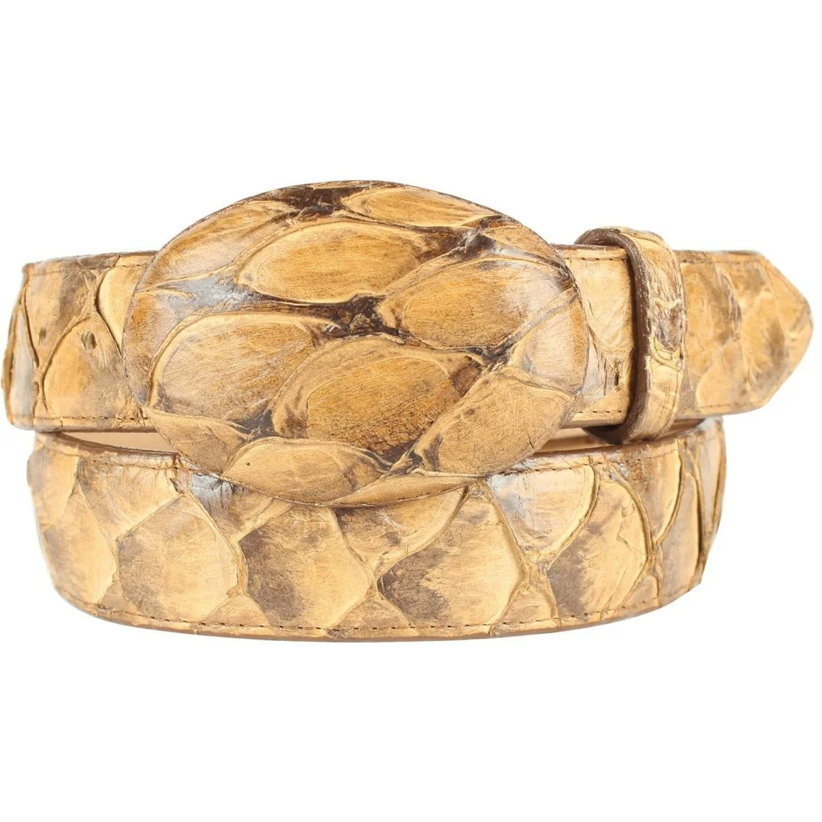 Cinto De Pescado for Every Occasion - Image 3