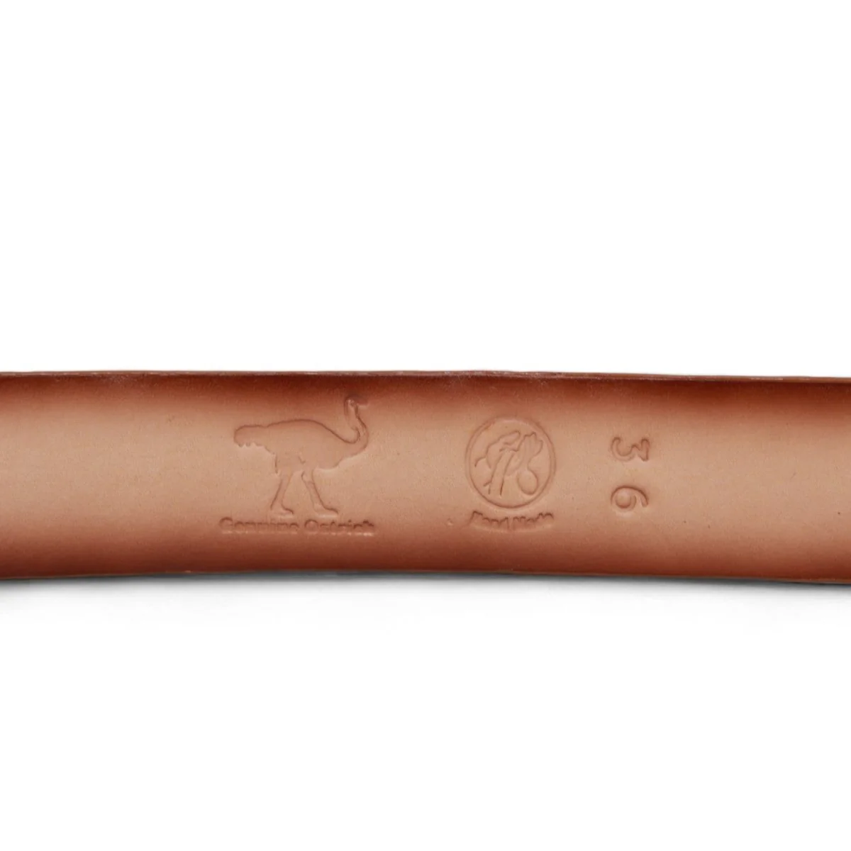 Cinto Avestruz Vaquero Difuminado CB-C11A03 - Image 9
