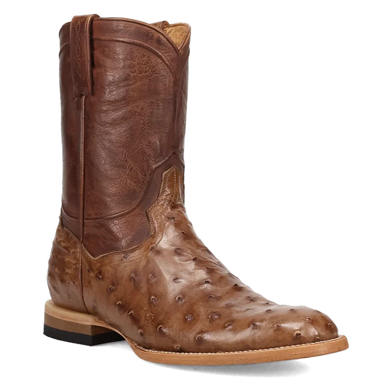 ARDOR FULL QUILL OSTRICH BOOT - Image 11
