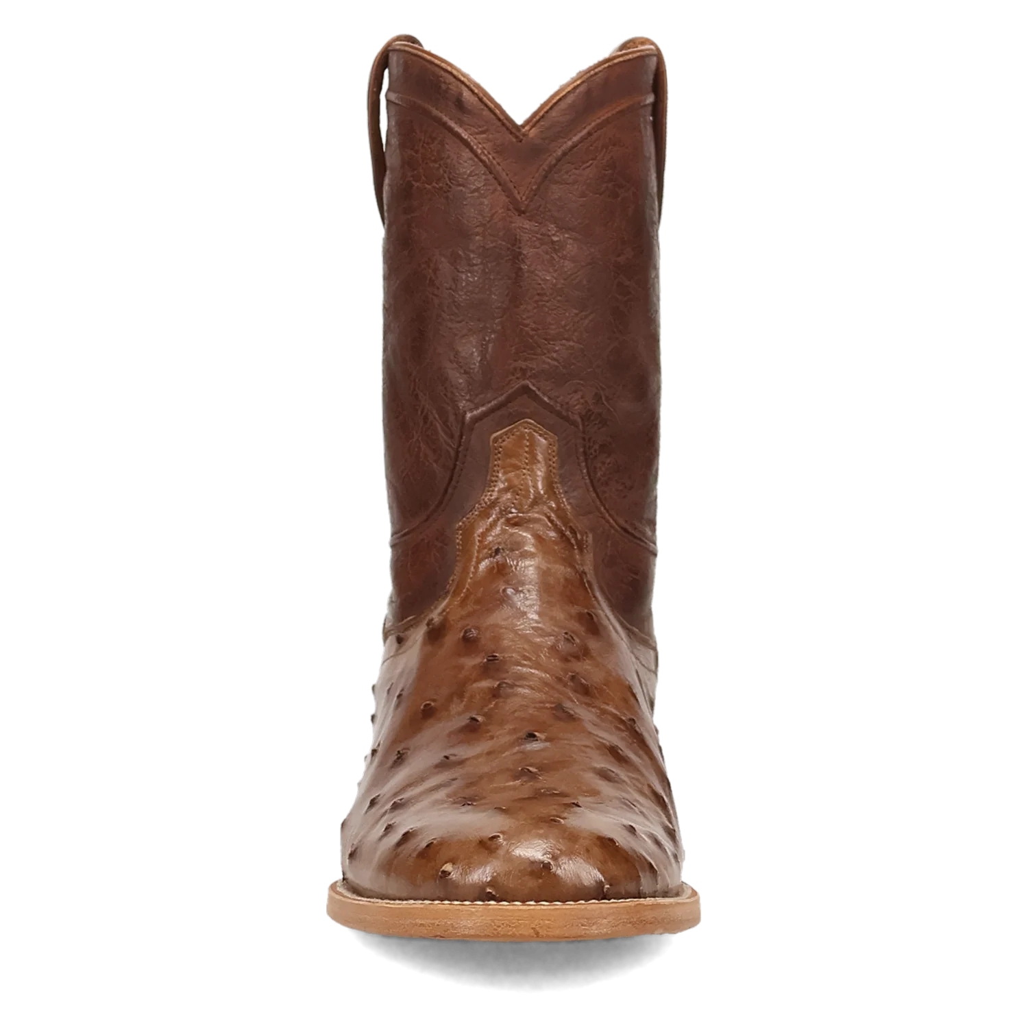 ARDOR FULL QUILL OSTRICH BOOT - Image 15