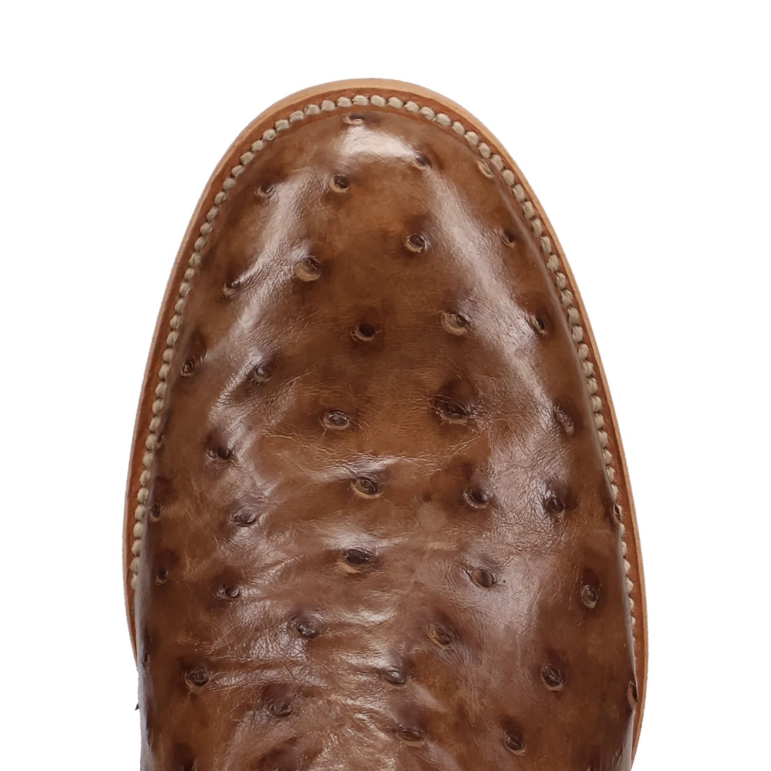 ARDOR FULL QUILL OSTRICH BOOT - Image 6