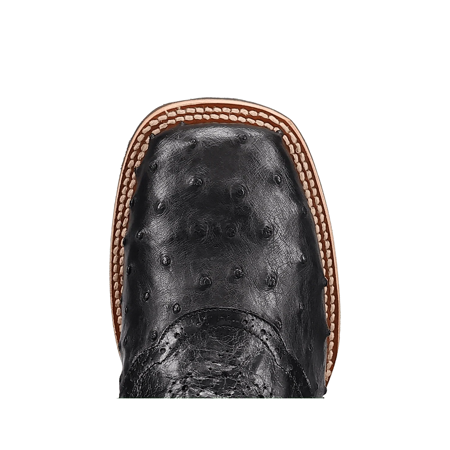 MARTEL FULL QUILL OSTRICH BOOT - Image 6