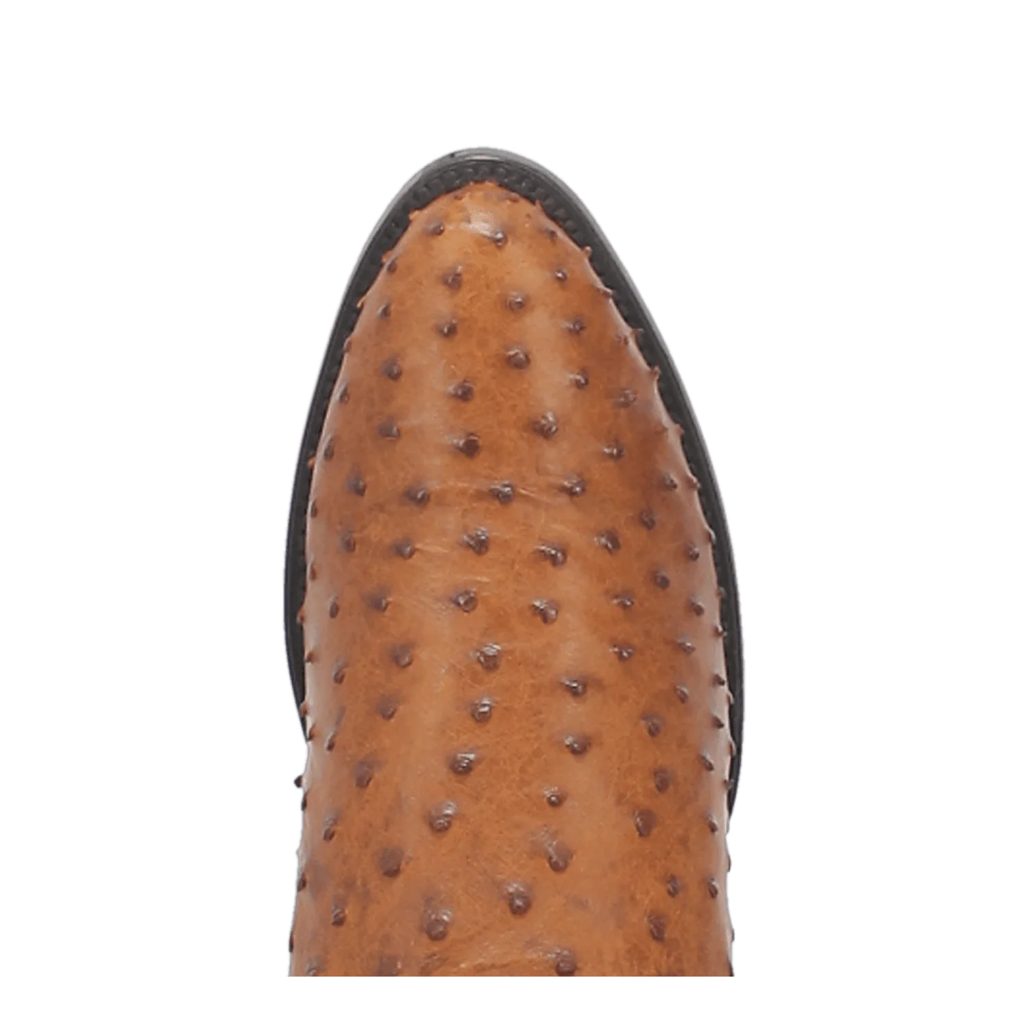 TEMPE FULL QUILL OSTRICH BOOT - Image 6