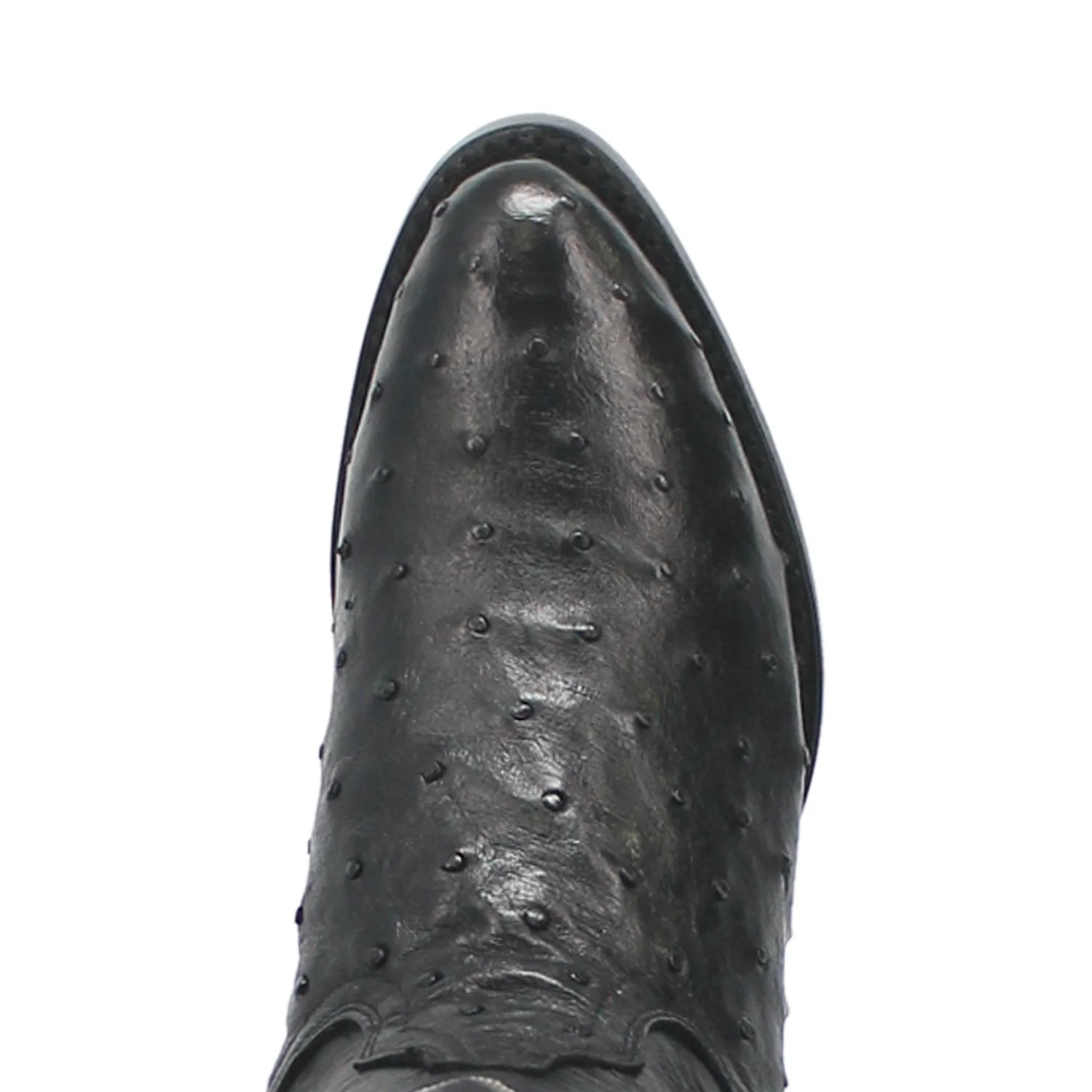 TEMPE FULL QUILL OSTRICH - Image 6