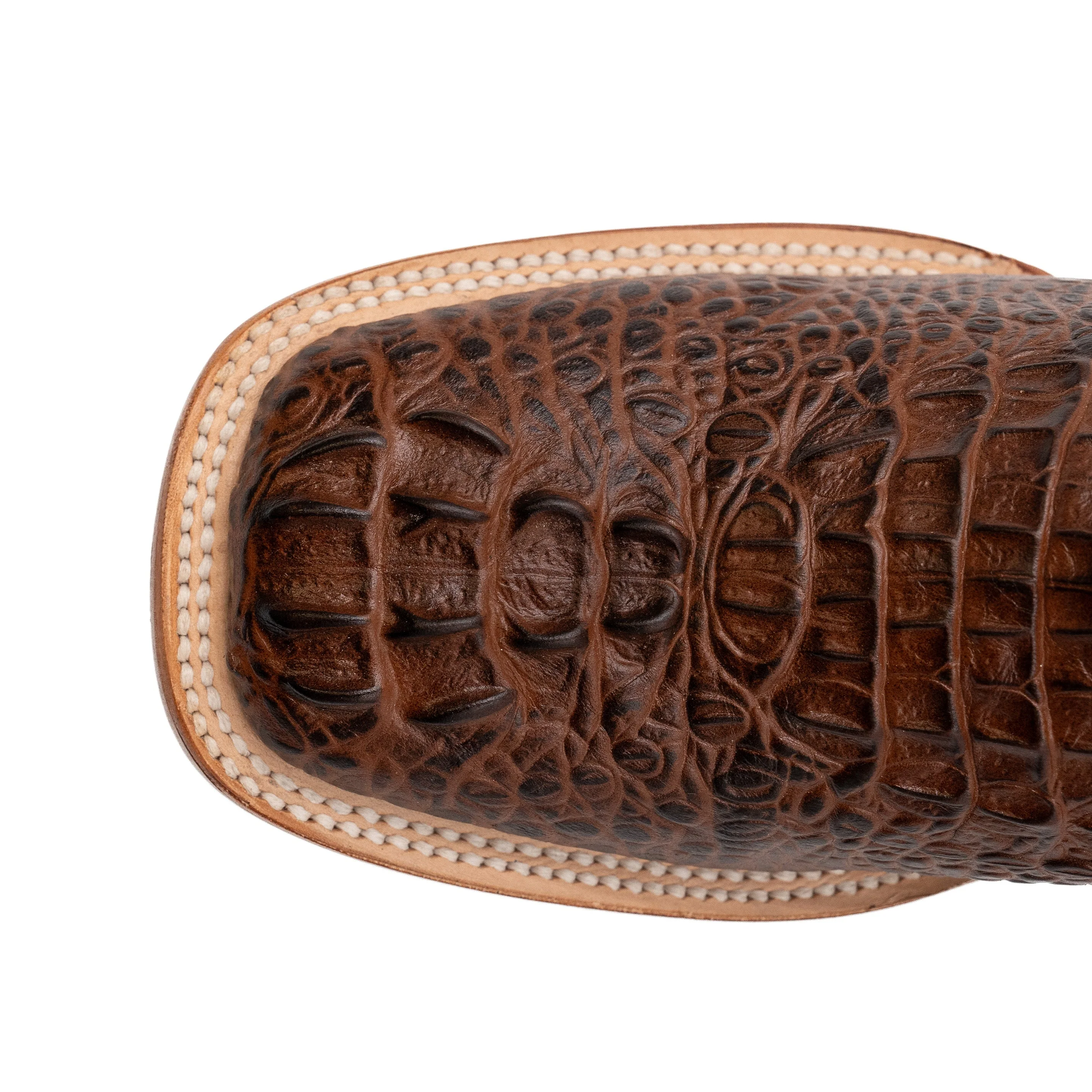 Ferrini Stampede - Image 5