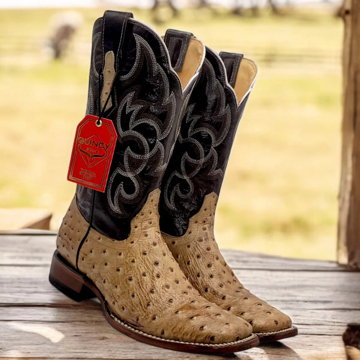Ostrich Print Cowboy Boots - Image 2