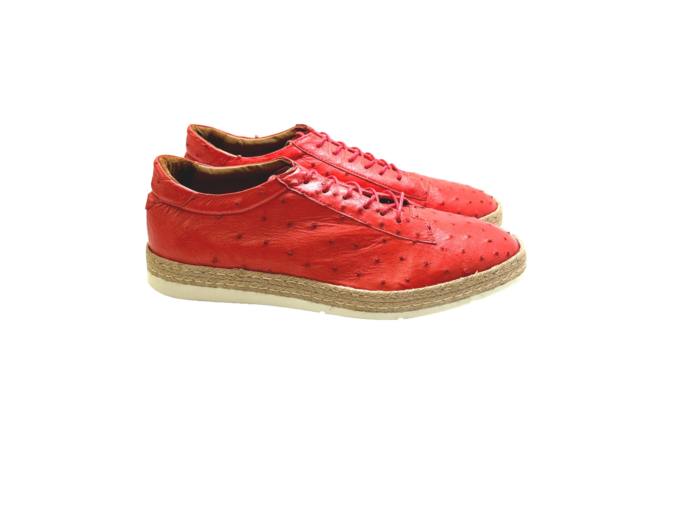 P0101 Monaco Genuine Ostrich Sport- Terra Cotta - Image 2